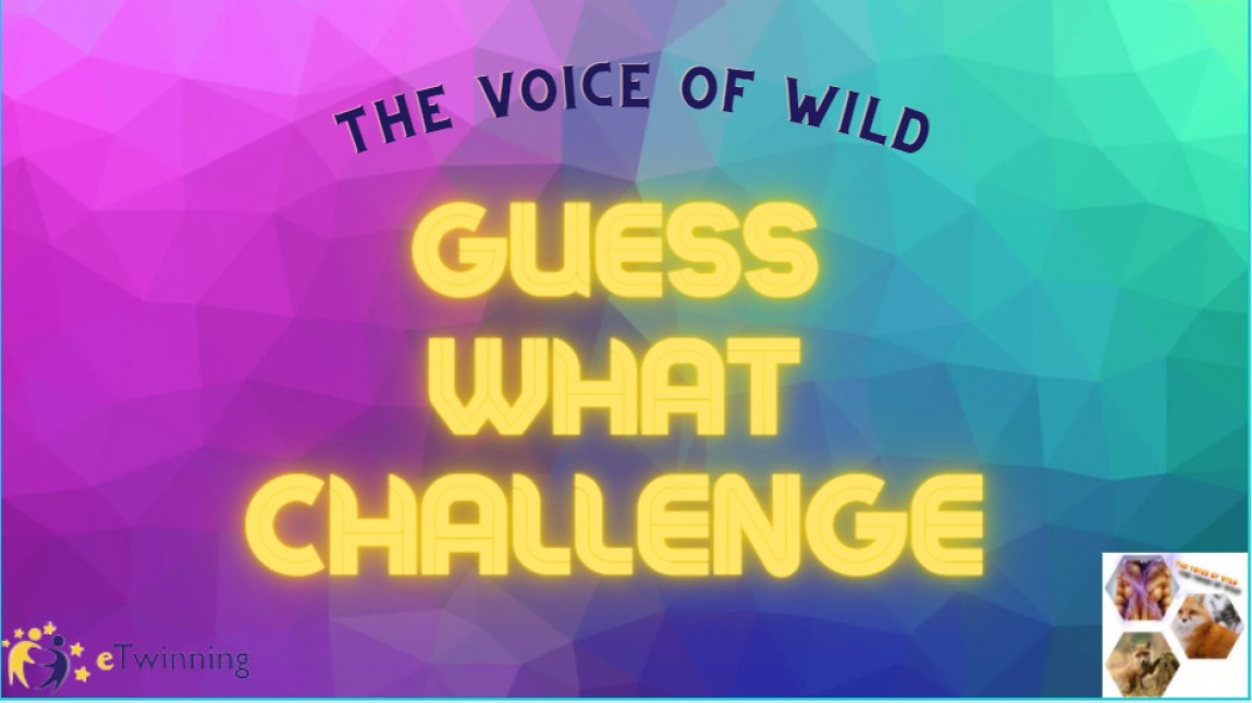 Guess What Challenge