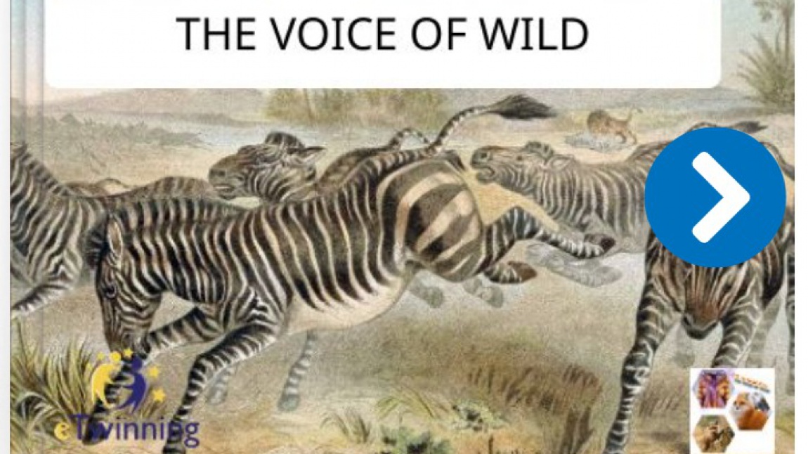The Voice of Wild -e Book